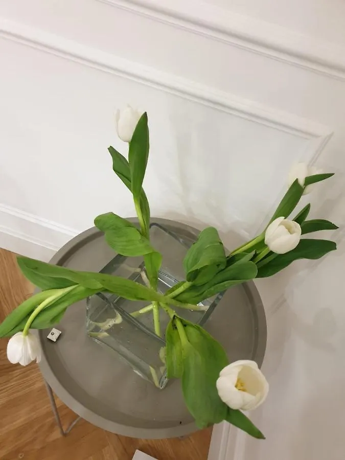 Pensionat Casa Caudi Hotell Rom